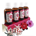 Kit Esencias Florales – Equilibrio Emocional