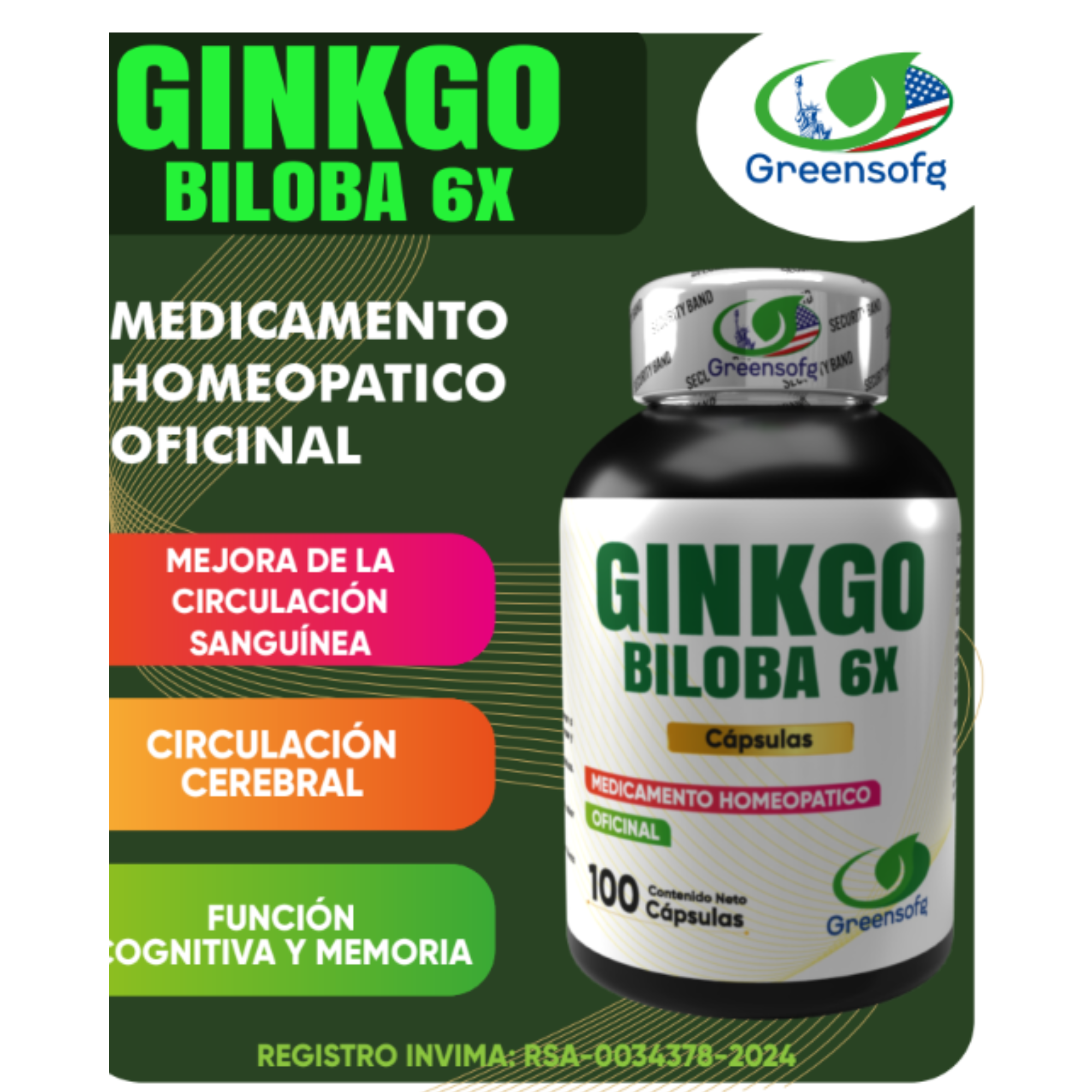 GINGO BILOBA 6X