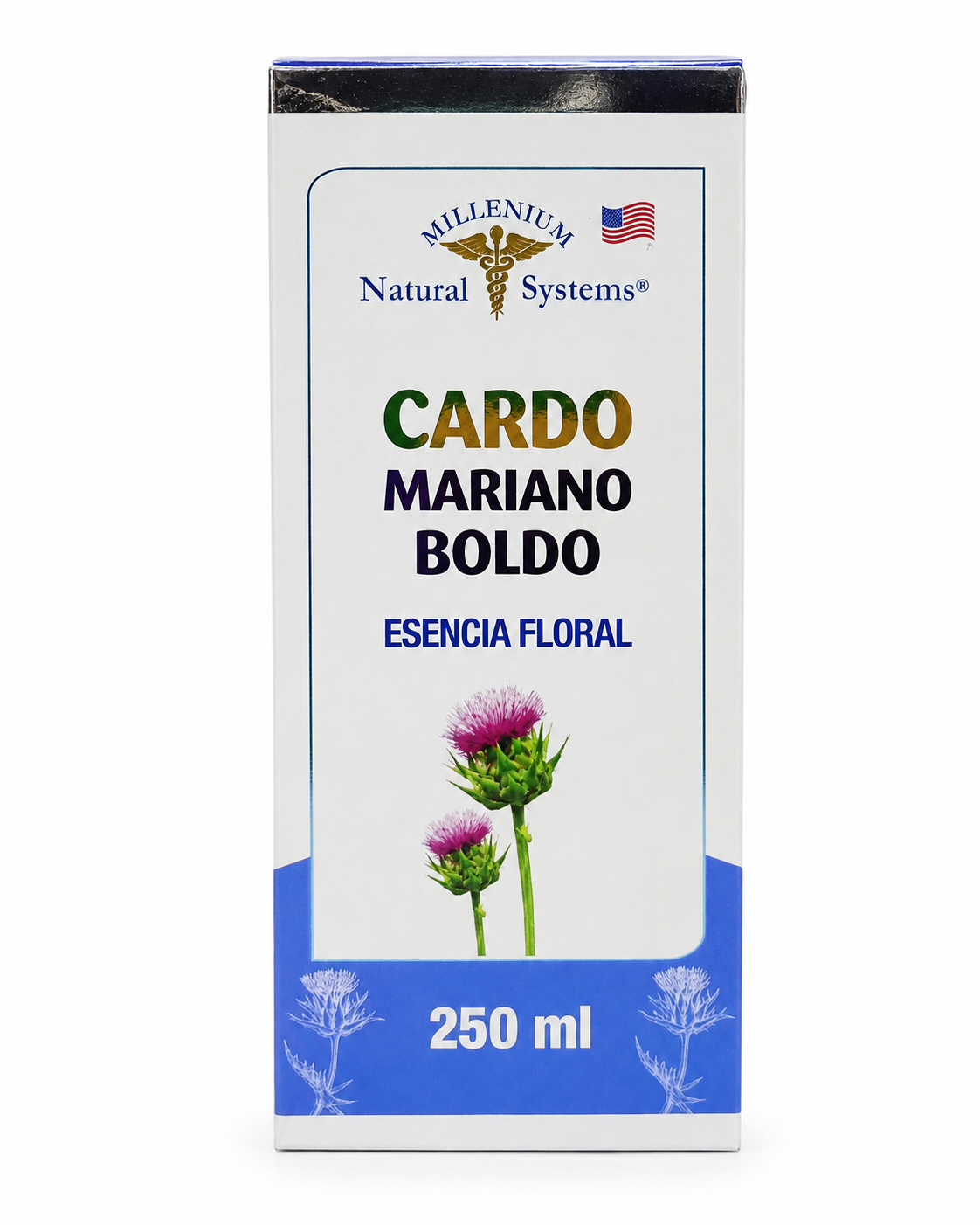 Cardo Mariano + Boldo